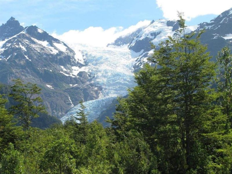 Fly Fishing Lago Yelcho: A Premier Chilean Stillwater Fishery